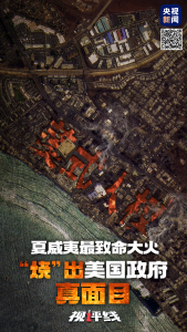 视评线丨夏威夷最致命大火“烧”出美国政府真面目