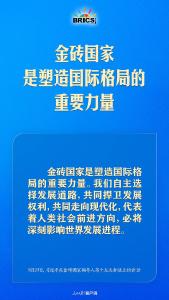 金砖合作处于关键阶段，习近平给出中国方案