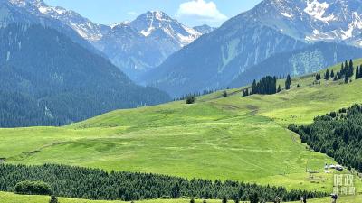 把握新机遇 展现新作为——习近平总书记在新疆发表的重要讲话鼓舞广大干部群众同心筑梦新征程