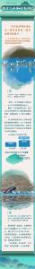 跟着总书记看中国丨青山绿水 潮涌大江