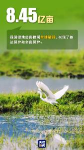 首个“全国生态日”来了！一组数据带你看美丽中国新画卷