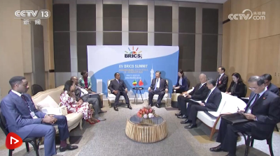 习近平会见刚果（布）总统