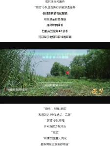 逐梦｜这不是科幻！这是我军科研成果！