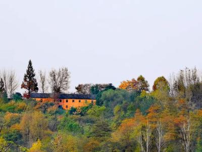 习语丨历史长河时而风平浪静，时而波涛汹涌，但总会奔涌向前