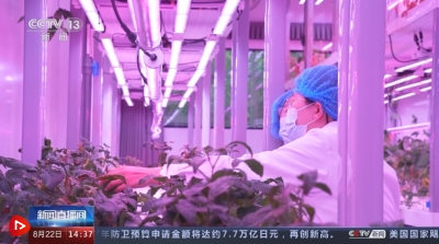 “改种+改地+改机” “白花花”盐碱地变身稳产增产“大粮仓”