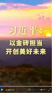 第1视点｜习近平：以金砖担当开创美好未来