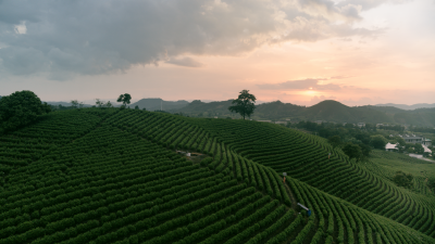 “两山”故事汇｜灵山：从废弃矿坑到碧湖花海