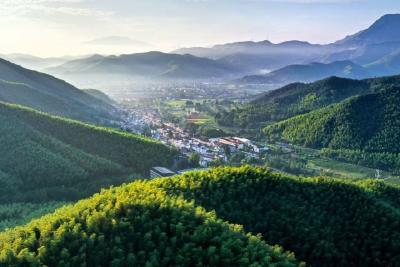兴山：一个山区亿元村的共富密码