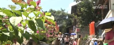 “努力做传承发展南中友好事业的使者”
