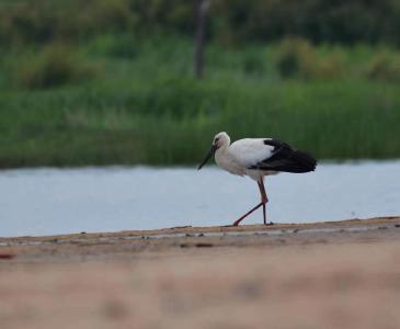 房县城乡供排水“一体化”解“两难”