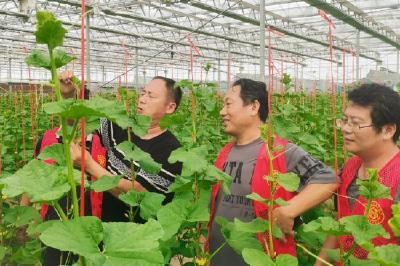 “聊聊咱的城市”系列报道之一：从“菜篮子”到城市“会客厅” ——十堰城区菜市场变形记