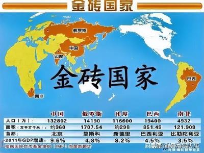 巴西总统：金砖国家可以帮助减少全球不平等