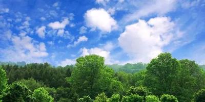 王蒙徽在宜昌调研时强调 加快推动形成绿色低碳 生产方式和生活方式