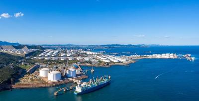 潮头观澜丨东北振兴 再谱新篇