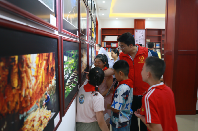 房县税务局：上好开学“第一课”让青春与法同行