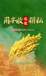 稻花香里说丰年丨用丰收致敬耕耘