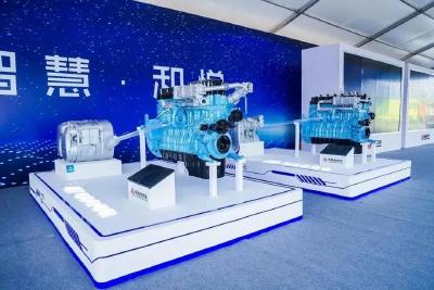 习近平致电祝贺比亚当选连任喀麦隆总统