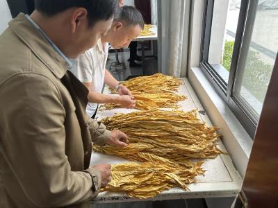 九道乡：精准服务 打好烟叶收购准备战