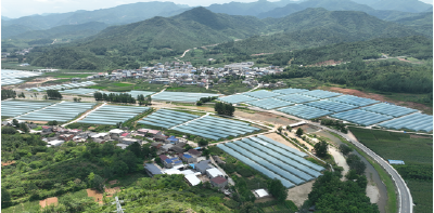 化龙堰镇：携手共画“同心圆”聚力共筑“振兴梦”