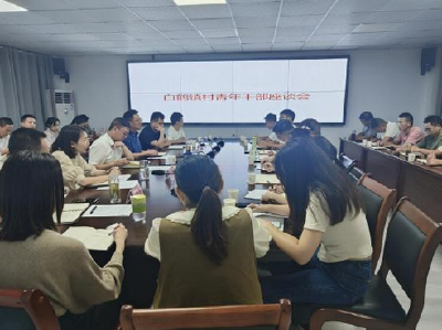 白鹤镇：“上挂下派”锻造高素质年轻干部队伍