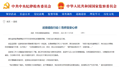 巡察组在行动丨危桥变安心桥