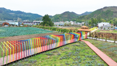 “景区化”乡村推进农旅融合