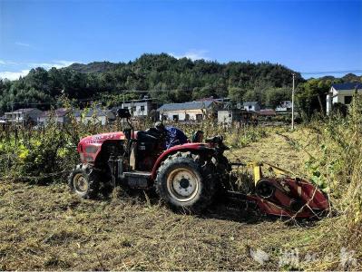 化龙堰镇：多措并举筑牢秸秆禁烧“防火墙”