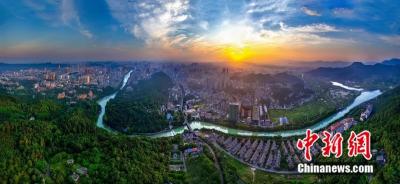 赤壁青砖茶：从“一枝独秀”到“百花齐放”的产业升级之路