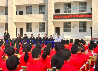 桃园小学举行法治健康教育讲座