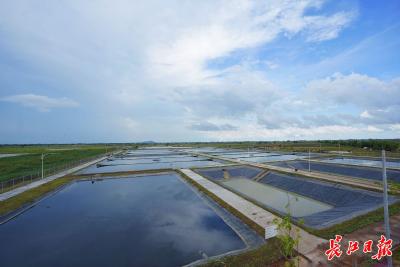 独家视频丨习近平圆满结束对柬埔寨的国事访问