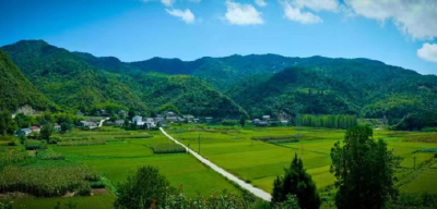 房县市场监管局局长汪永鸣答记者问——提升公共服务质量 共同缔造幸福房县