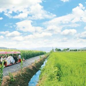 时政纪录片丨共同谱写丝路新交响——习近平主席出席第三届“一带一路”国际合作高峰论坛纪实