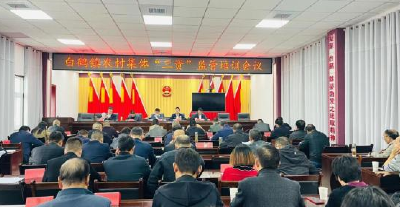 白鹤镇财政所：强化农村“三资”监管 助推村集体经济健康发展