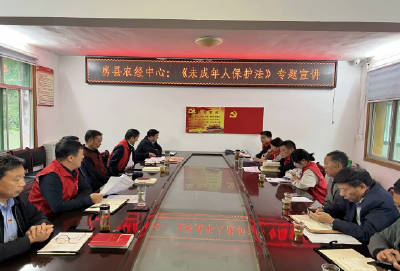 县农经中心：《未成年人保护法》宣传活动进乡村