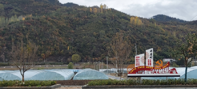 携手构建和平安宁、繁荣美丽、友好共生的亚洲家园 ——习近平主席向纪念亲诚惠容周边外交理念提出10周年国际研讨会发表书面致辞引发国际社会热烈反响