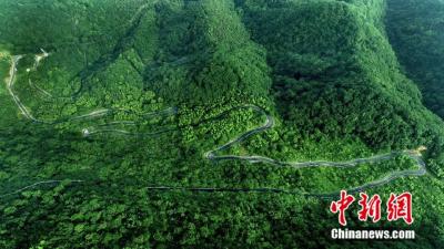 茶香越万里 古道焕新程——赤壁青砖茶重走现代“万里茶道”