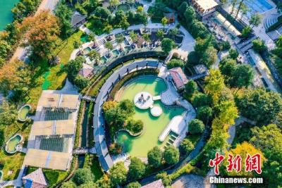 咸安：推进移风易俗 文明乡村沐新风