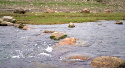 【大美房县 共同缔造】房县：建设幸福河湖 缔造美丽家园
