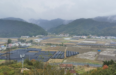 共同推动构建网络空间命运共同体迈向新阶段