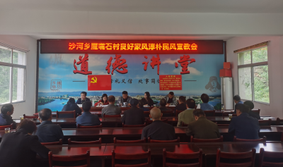 沙河乡：凝聚巾帼力量，共绘文明画卷
