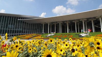 “智慧桃”结出“共富果” | “枣阳皇桃”奏响生态富民的“田园乐章”