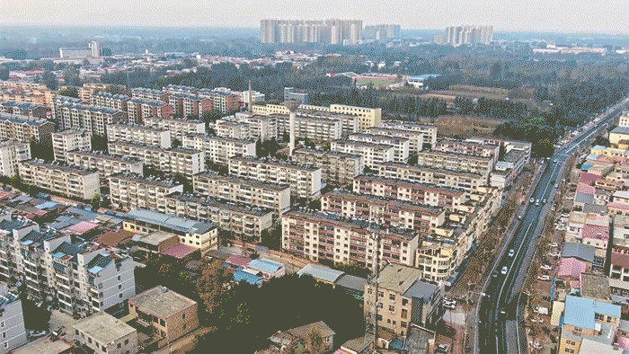 时政现场说丨众志成城 构筑防汛救灾、守护家园的坚固防线