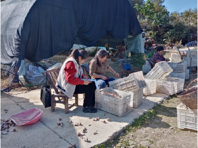 房县供销社： 落实“五字”工作法   深化“户户走到”