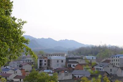 军店镇：多举措织密精神障碍患者服务管控网  筑牢平安防线