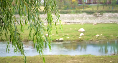 【记者走基层】上龛乡“甜蜜事业”助农增收