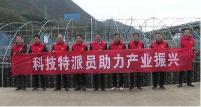 房县：新增县级科技特派员283名，让科技服务“零距离”