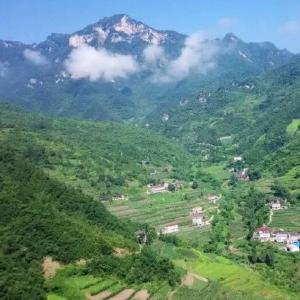 房县实验小学教联体：解民意  明方向  着力提升教育服务满意度
