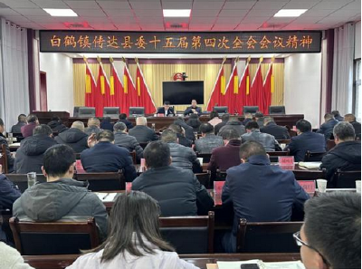白鹤镇学习传达县委第十五届四次全会精神