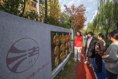 【良法善治】习言道｜奉法者强则国强