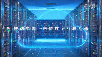 跟着总书记的考察足迹｜这是中国—东盟信息港